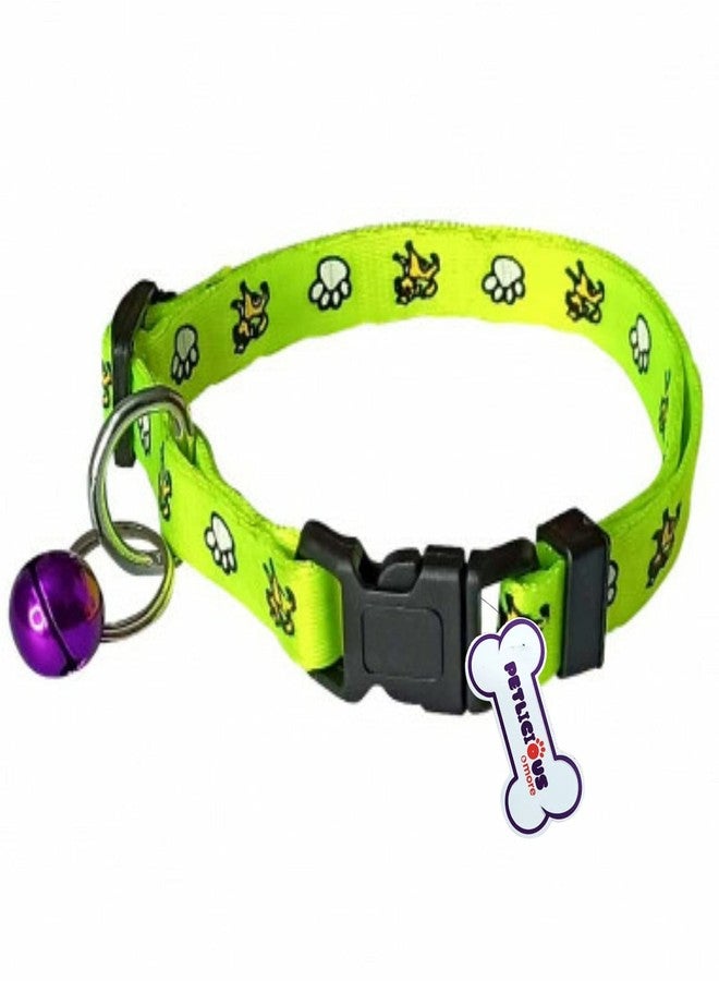 PETLICIOUS & MORE طقم طوق ومقود ناعم من النايلون للجراء الصغيرة من بيتليشوس آند مور (المقاس - 10 مم، الطول 5 أقدام، اللون - ببغاء، عبوة من قطعة واحدة) - Image 2